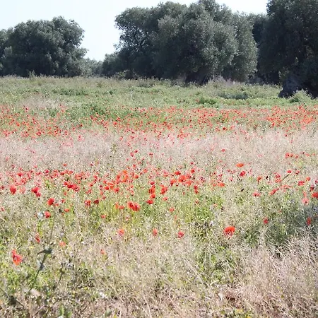 Masseria Valente Çiftlik konaklama *
