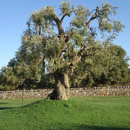 Çiftlik konaklama Masseria Valente Ostuni