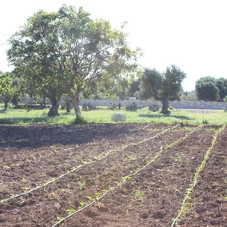 Masseria Valente *