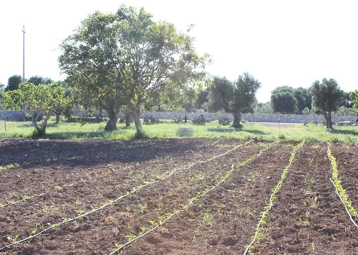 Masseria Valente *